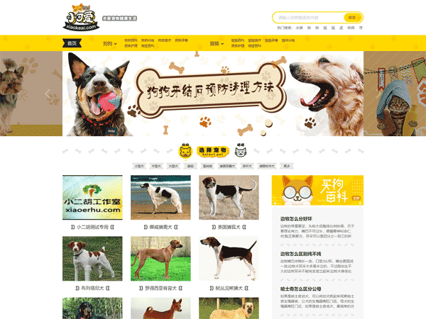 92kaifa仿《小可爱宠物网》完整版源码 专业宠物资讯平台源码 下载 火车头采集 手机版